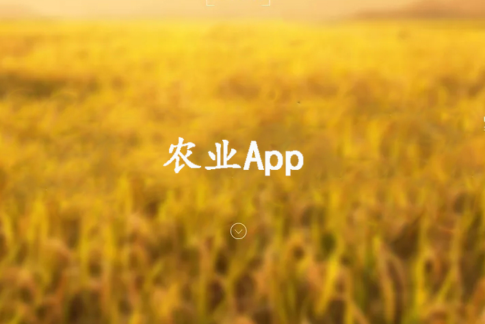 农业App开发方案