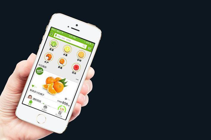 生鲜果蔬APP软件开发,广州APP开发