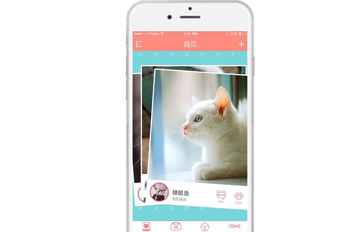 宠物APP开发,APP定制外包