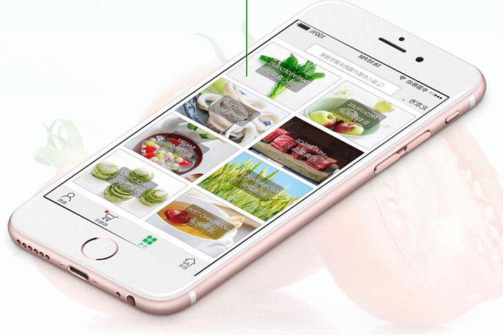 生鲜果蔬电商APP开发能为用户带来什么