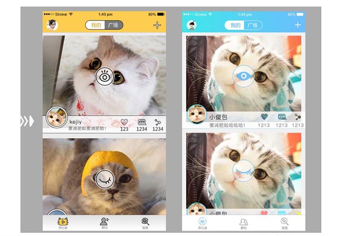 宠物猫APP开发能为用户带来什么