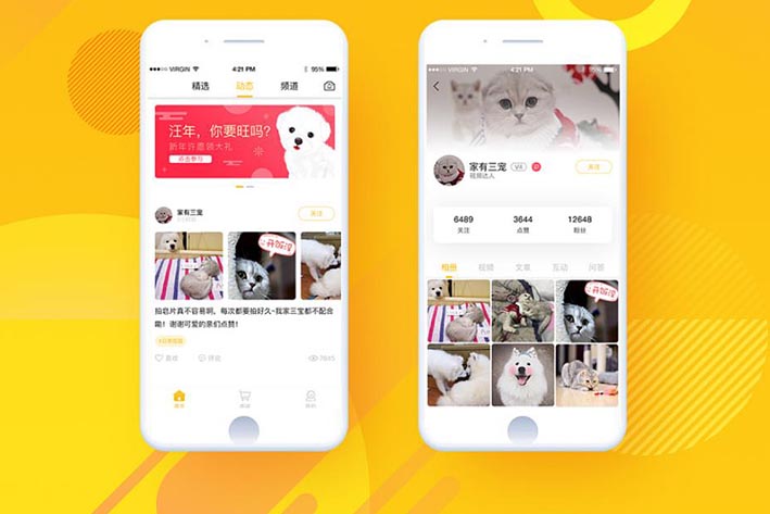 宠物APP开发为何能在时代中脱颖而出